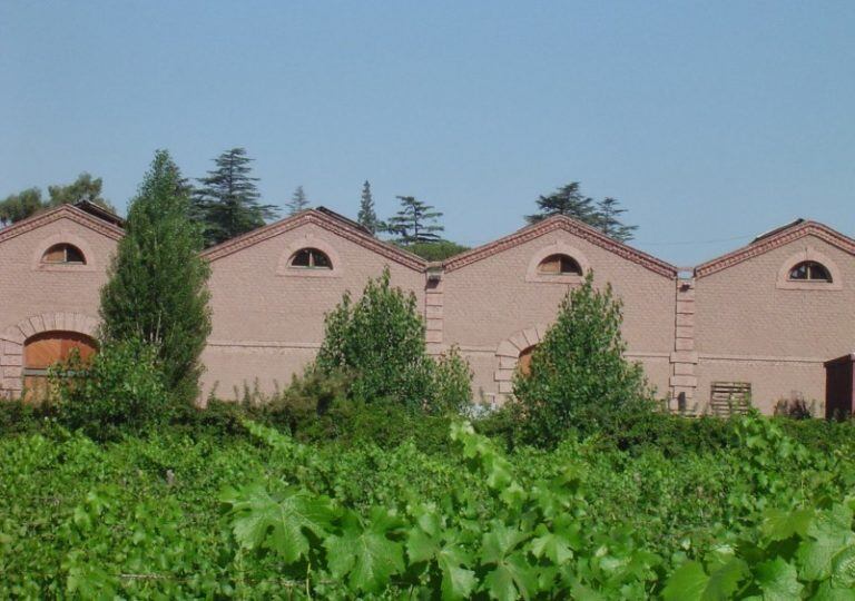 Bodega Benegas