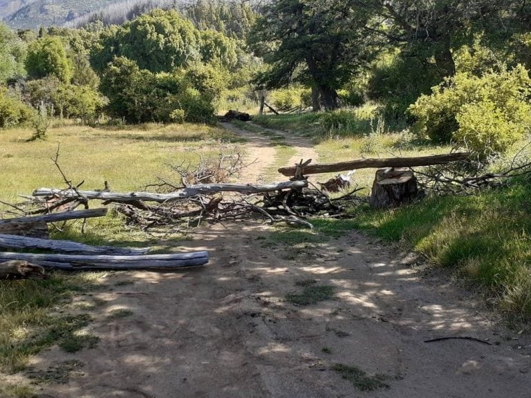 Toma Mapuche en el Parque Nacional Los Alerces, cuya situación preocupa a los pobladores.