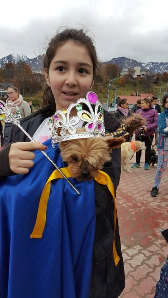 Caninata Solidaria - Ushuaia