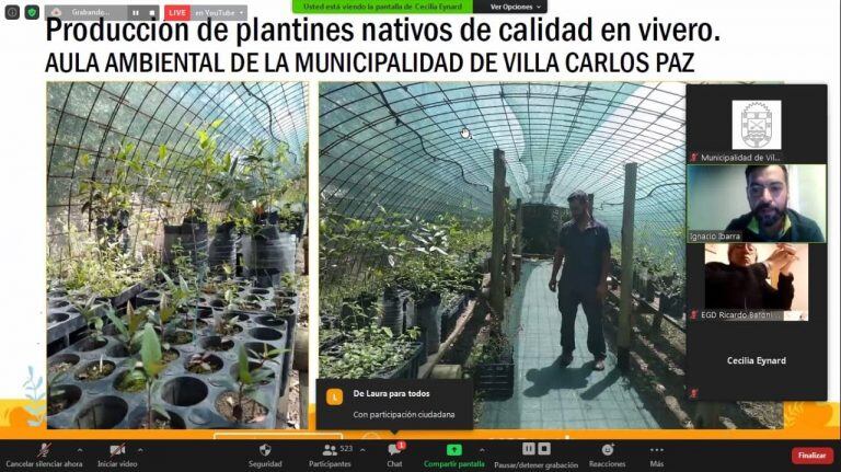 Imágenes del encuentro virtual para aprender a restaurar los bosques nativos después de los incendios forestales.