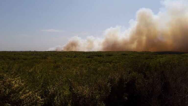 Incendio en el Vivero de Claromecó (foto: gentileza Cristian Rodríguez