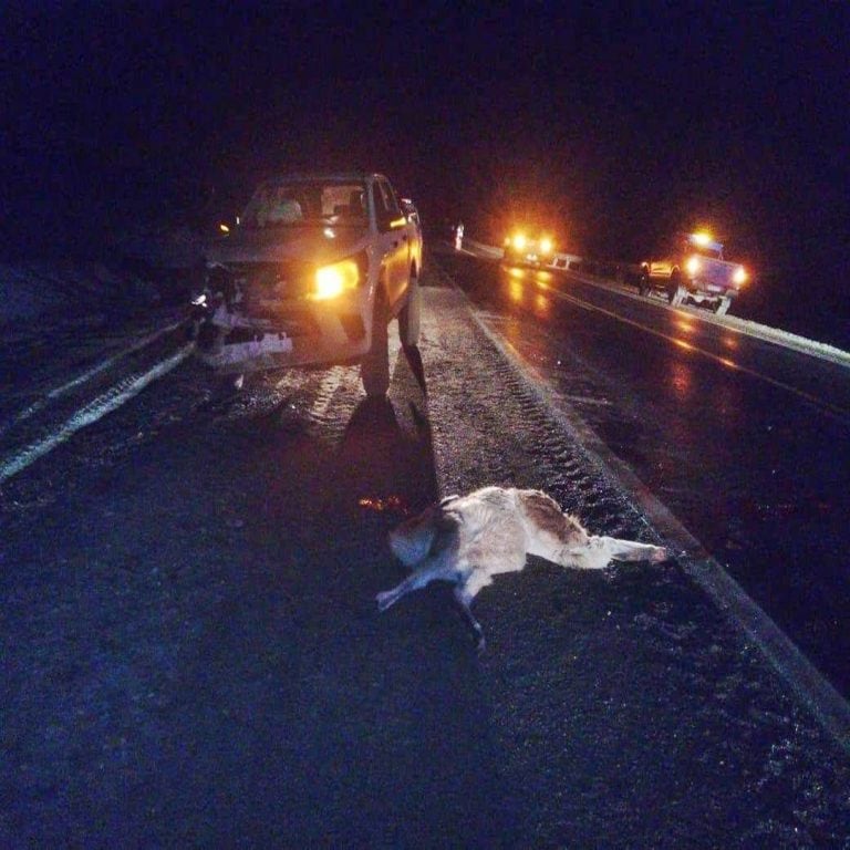 Accidente Ushuaia