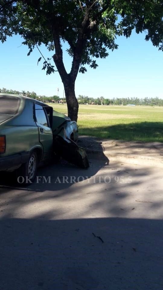 Vehículo chocó un árbol