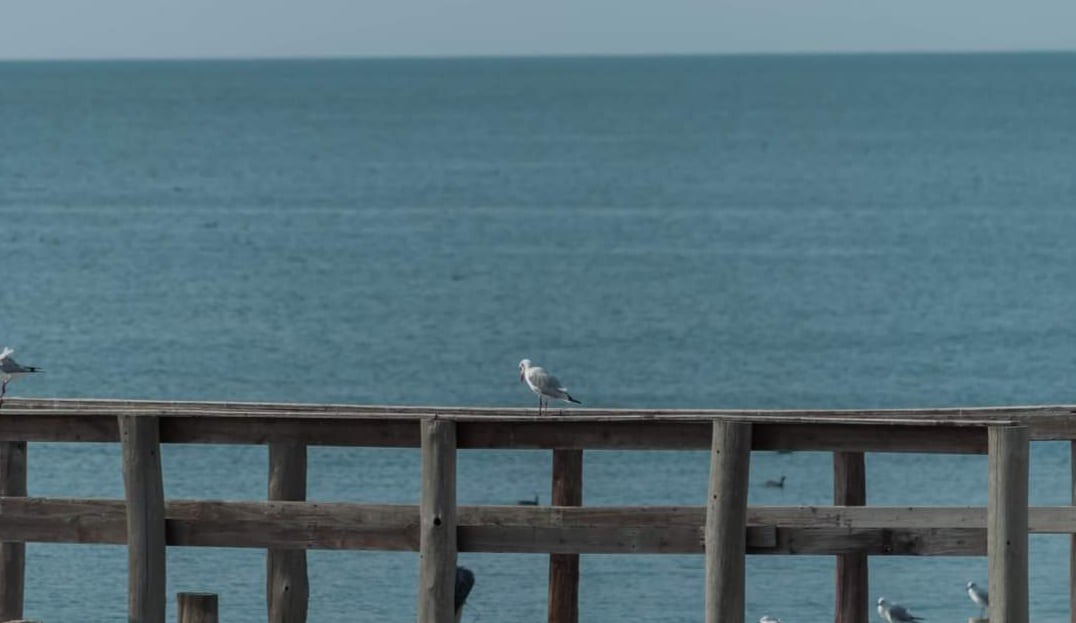 Miramar de Ansenuza, muelle. (Foto: Enrique Ferreyra).