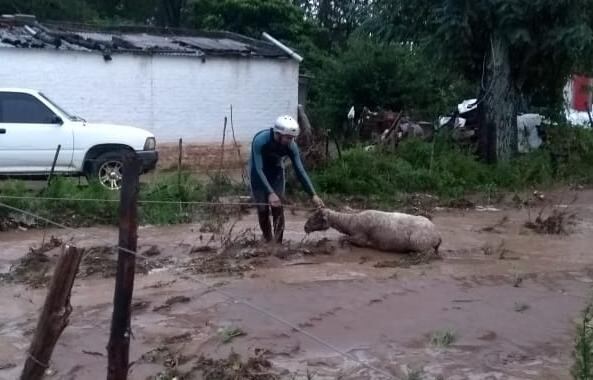 La creciente del Río de los Sauces en Calamuchita fue impresionante este domingo,