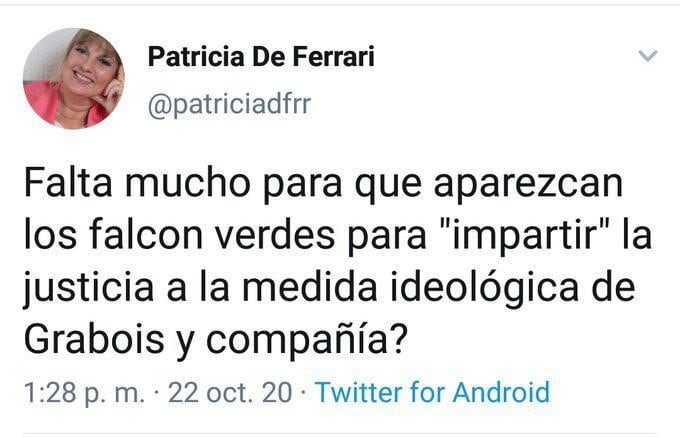 Twit borrado de la legisladora Patricia de Ferrari