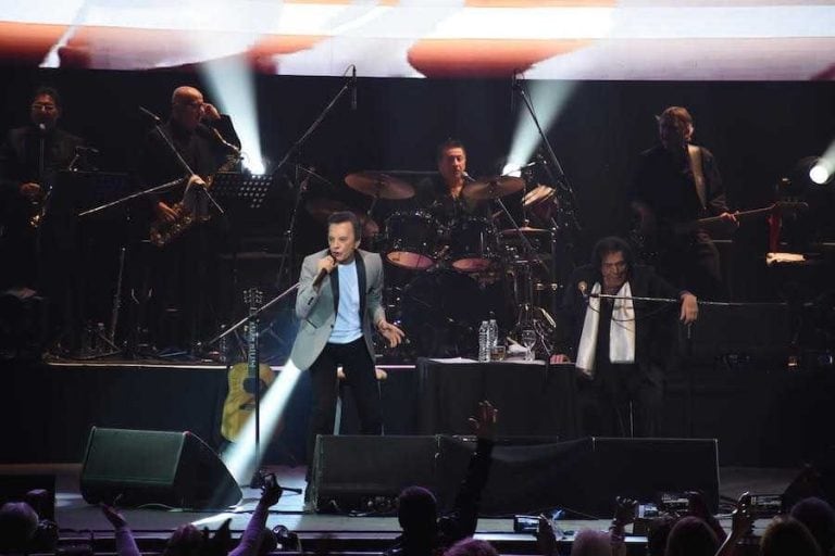 Figuras en el show de Palito Ortega y Cacho Castaña en el Luna Park.