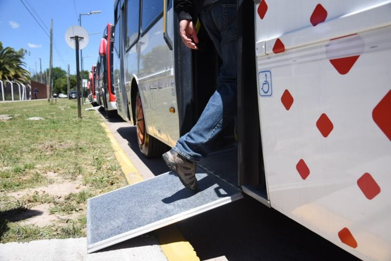 Garro presentó nuevos colectivos de última tecnología para la ciudad (Municipalidad de La Plata)