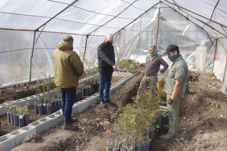 Intendente Daniel Gómez Gesteira de visita el Vivero Municipal.