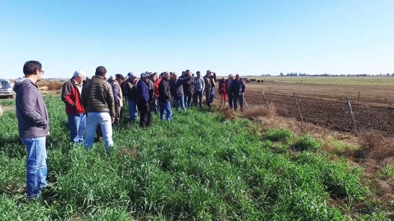 Jornada ganadera en la zona de Villa Mirasol (Gobierno de La Pampa)