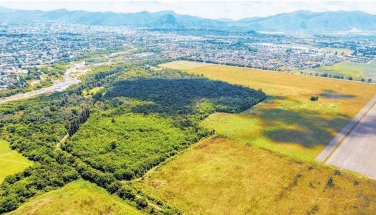 El jardín botánico de Salta cerca de ser una realidad