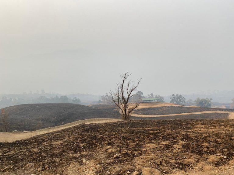 Incendio California Otoñal