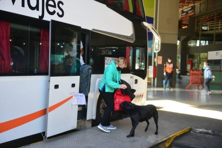 En el colectivo viajaban 20 cordobeses y un rosarino repatriado de Perú, con la infección.