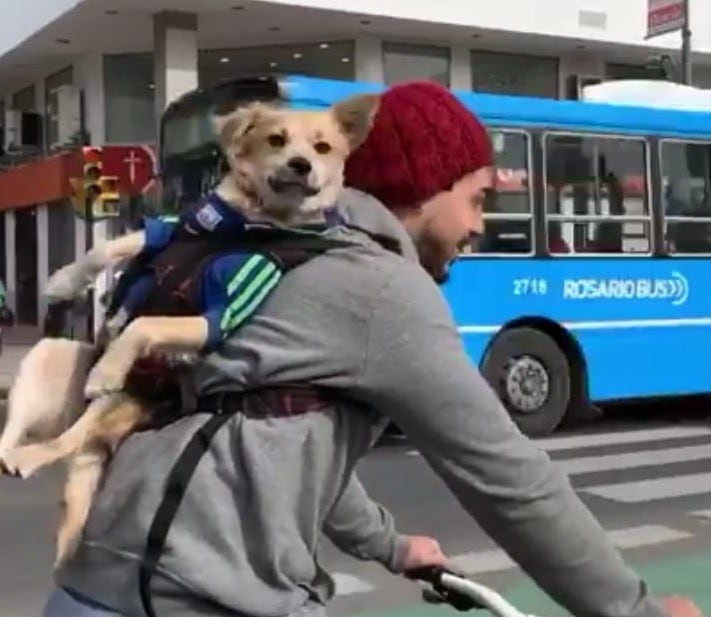 Pablo Granados registró el la curiosa forma en que un ciclista traslada a su mascota. (Captura de pantalla)