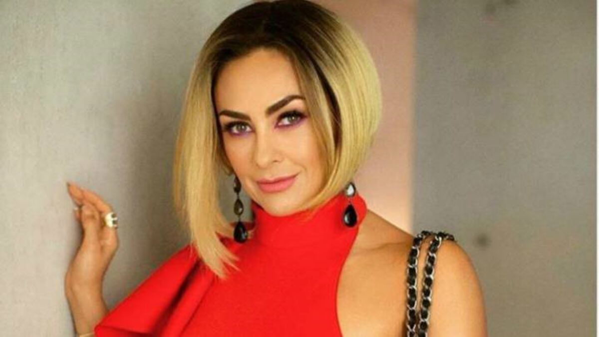 La foto de Aracely Arámbula, la ex de Luis Miguel, que cautivó a sus seguidores de espalda y en bikini