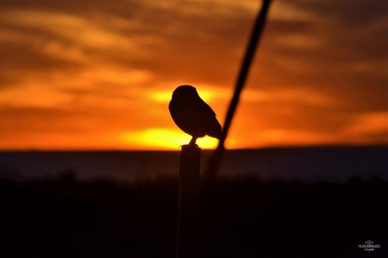 Atardecer en Miramar de Ansenuza - PH Hugo Giraudo