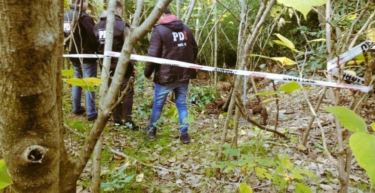 Encontraron el cuerpo sin vida de un anciano en la Autopista a Buenos Aires (Ministerio de Seguridad)