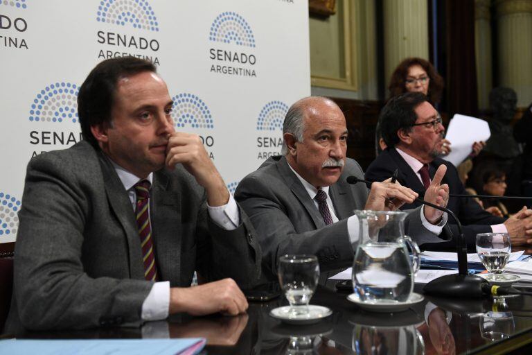 El senador Fiad condujo el plenario de comisiones que analizó el proyecto aprobado por Diputados.