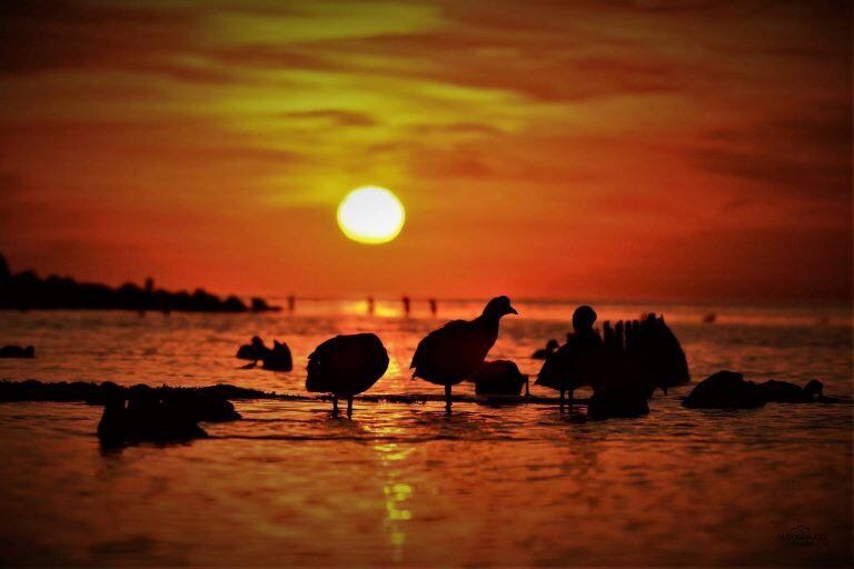 Atardecer en Miramar de Ansenuza 
- PH Hugo Giraudo