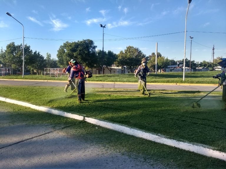 Corte de césped con desmalezadora en espacios públicos