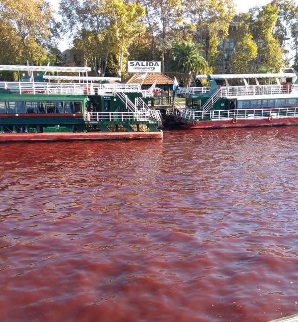 El río amaneció con este particular color