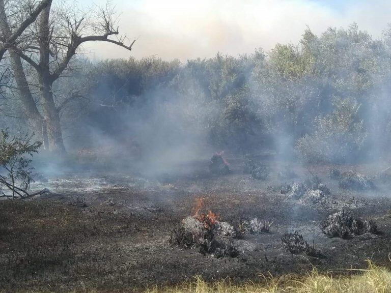 Incendio Claromecó