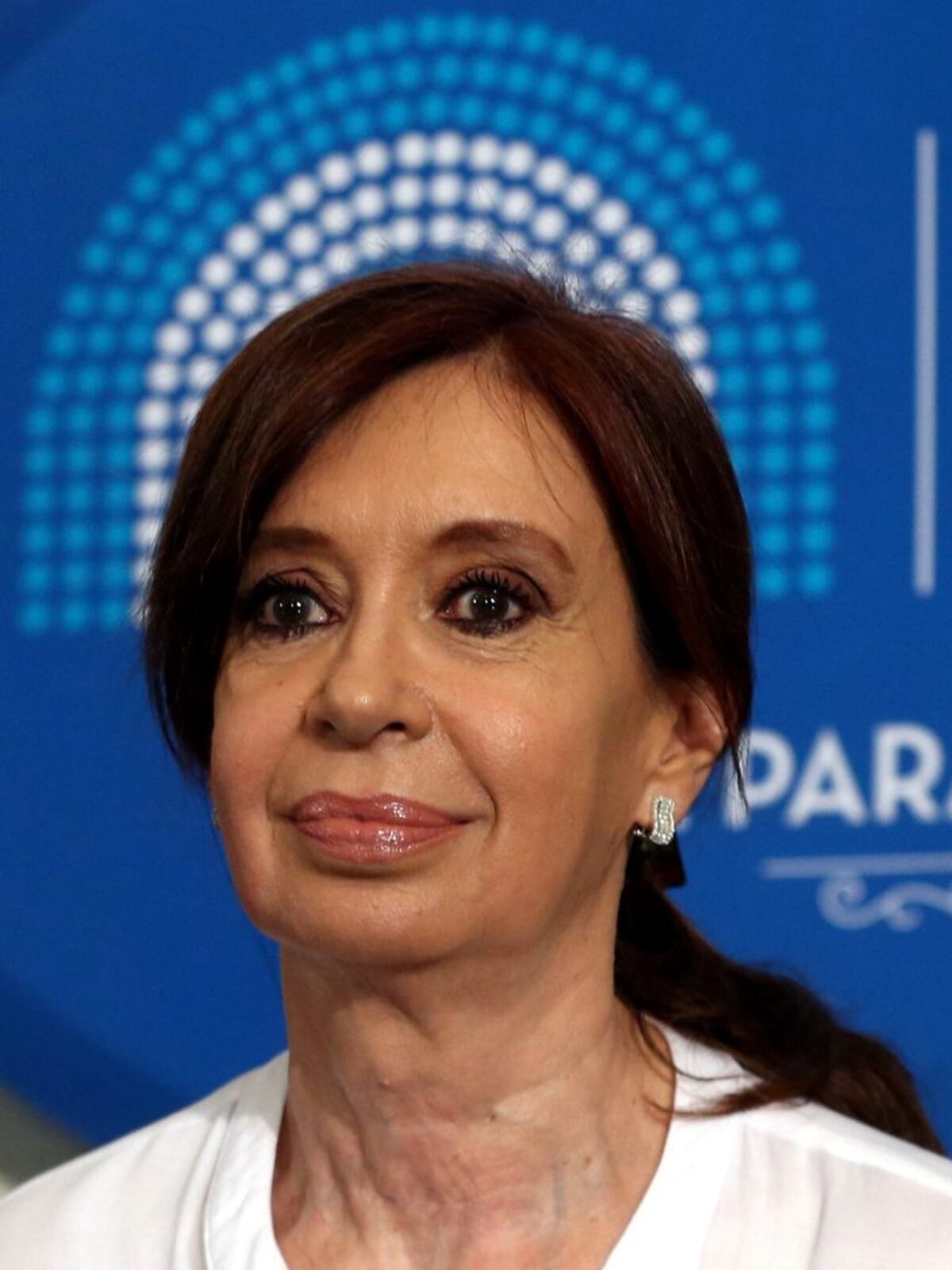 Cristina Kirchner: "Ojalá todos los legisladores rechacen el saqueo a los jubilados"