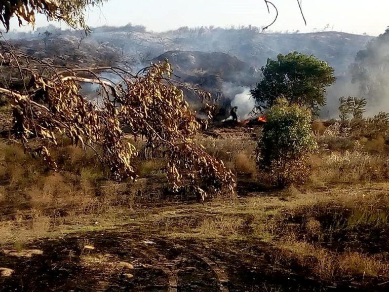 Incendio en Pehuen Co