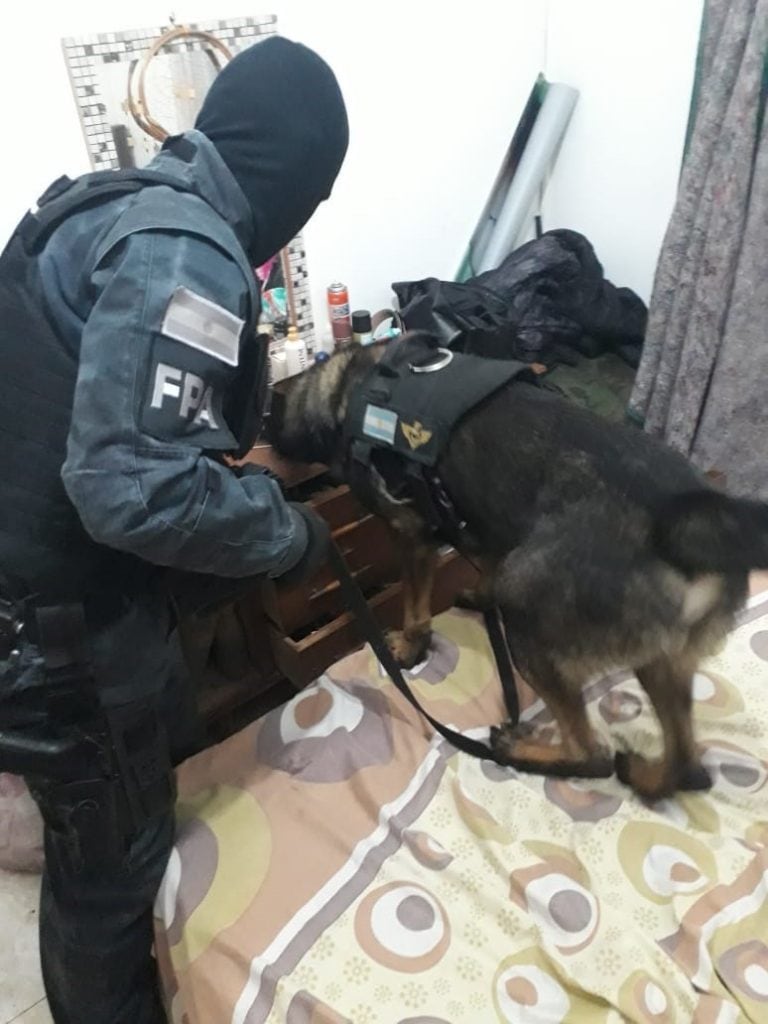 Efectivos con  canes en los operativos de la Policia Antinarcóticos.