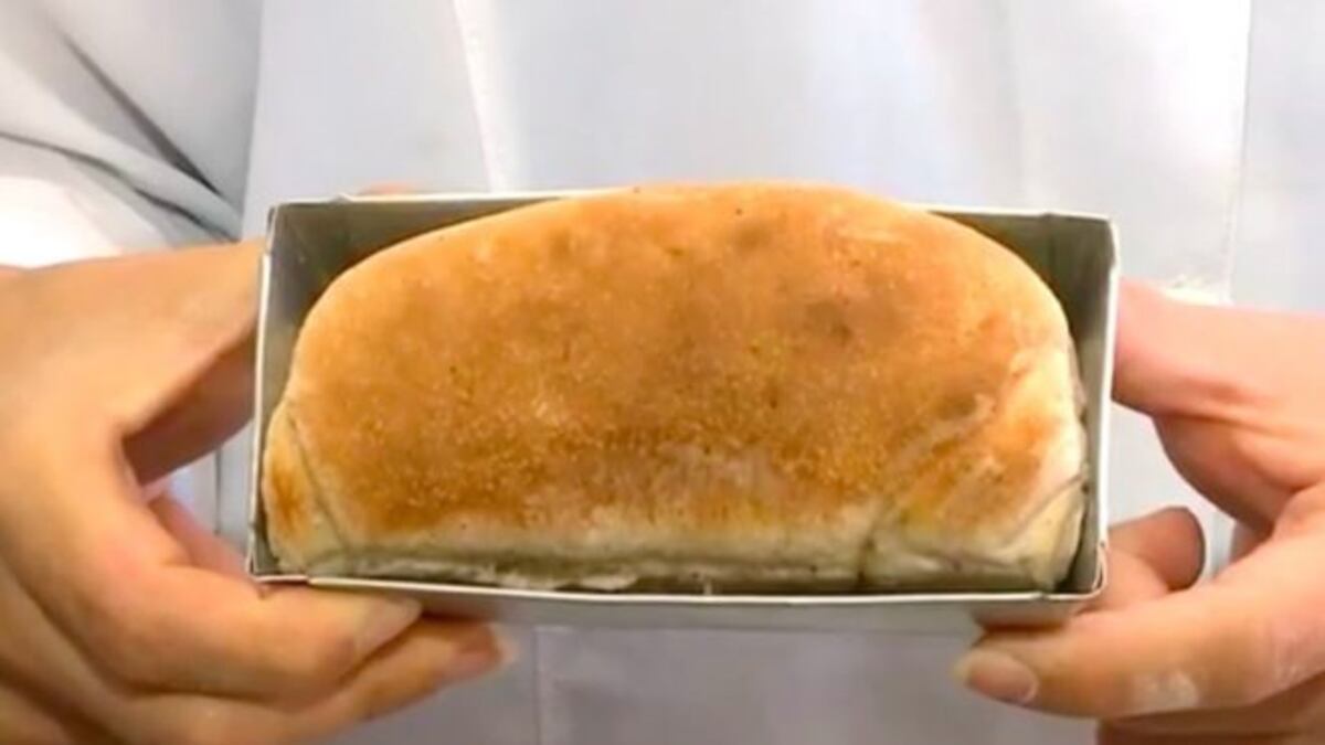Así es el pan de cucarachas, el alimento del futuro
