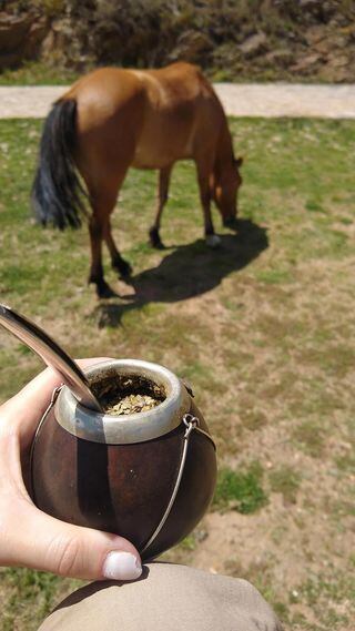 Mates dulces en La Carolina, San Luis. Gentileza: Cecilia Remedi