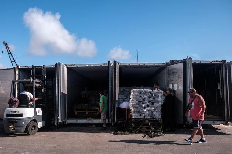 De las 81 mil toneladas vendidas, 74 mil no tuvieron ningún procesamiento.