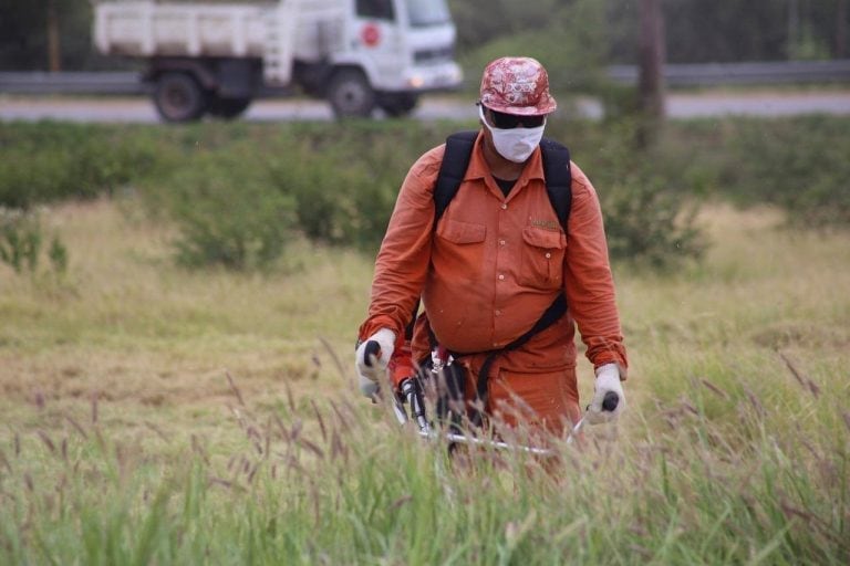 Lucha contra el mosquito del Dengue - La Rioja