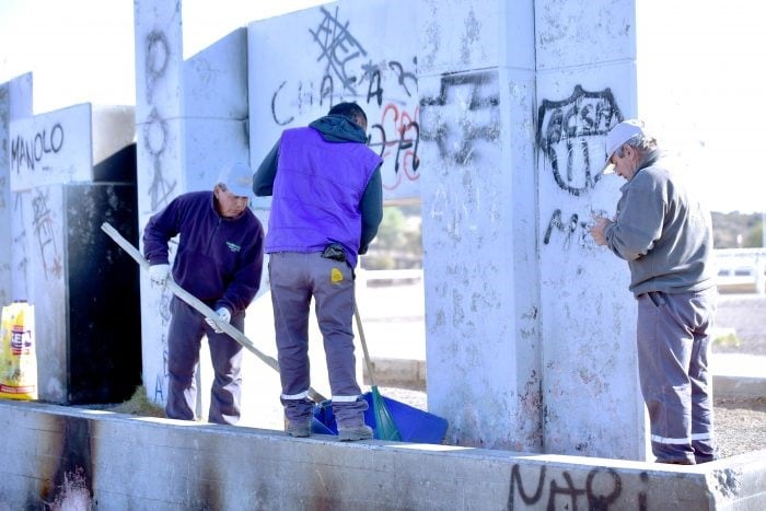 Trabajaron voluntarios de varias ONG junto a guardaparques.