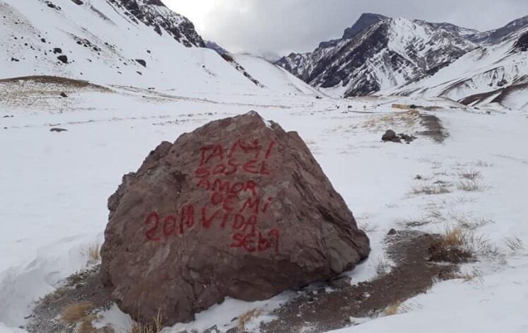 Atentado contra el patrimonio natural.