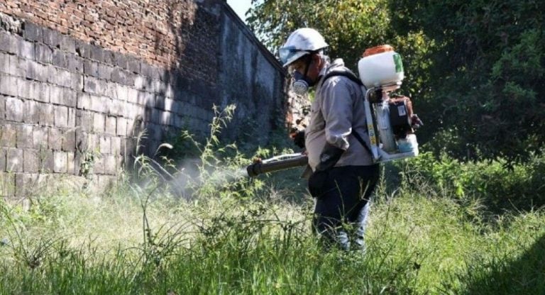 Desde la municipalidad se fumiga casa por casa.