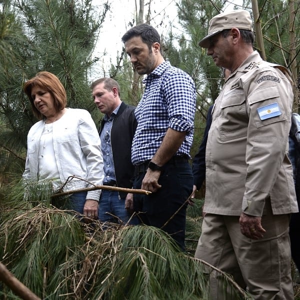 Patricia Bullrich en un pinar de Misiones donde se encontró marihuana dejada por narcos y que fue descubierta por Prefectura antes de su distribución. (Misiones Online)