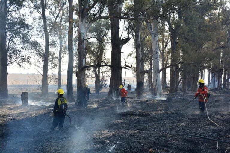 Foto: Bomberos Voluntarios San Francisco