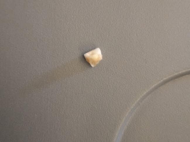 Un pasajero de Singapore Airlines encontró un diente en su comida.