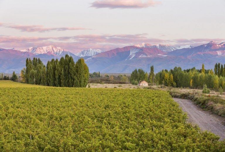 Finca Catena Zapata en Mendoza.