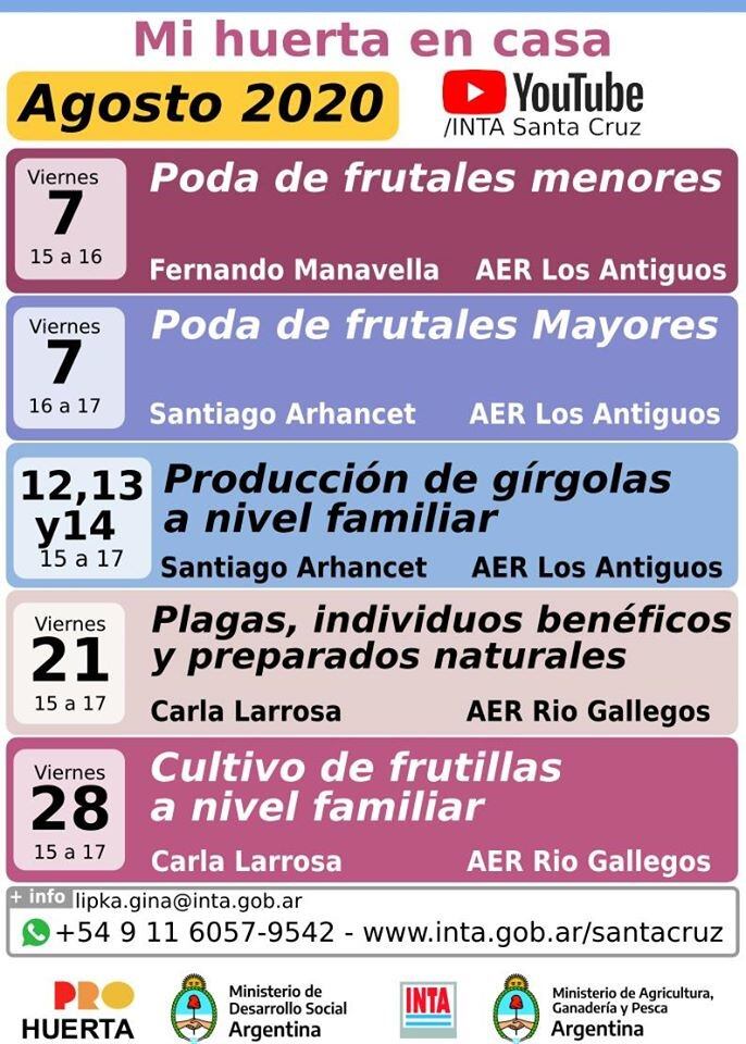 Charlas virtuales de Agosto.