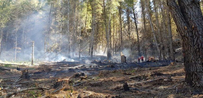 incendio en Lago Puelo.