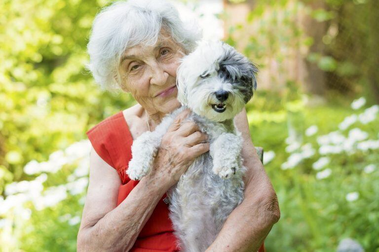 Mascotas para la tercera edad. (SHUTTERSTOCK)