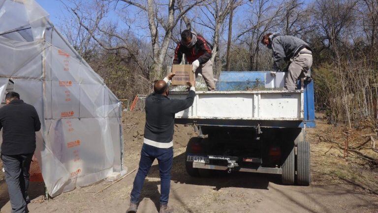 El vivero municipal de Carlos Paz recibió mil árboles nativos