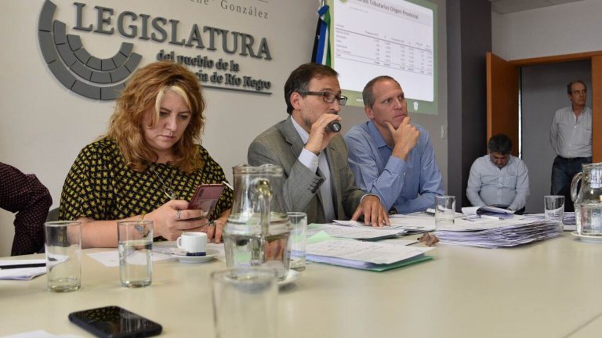 La Legislatura sesionará "con restricción al público"