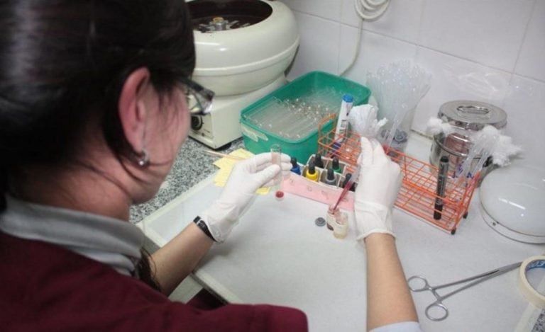 Donación de sangre de cordón umbilical. (Foto: El Litoral)