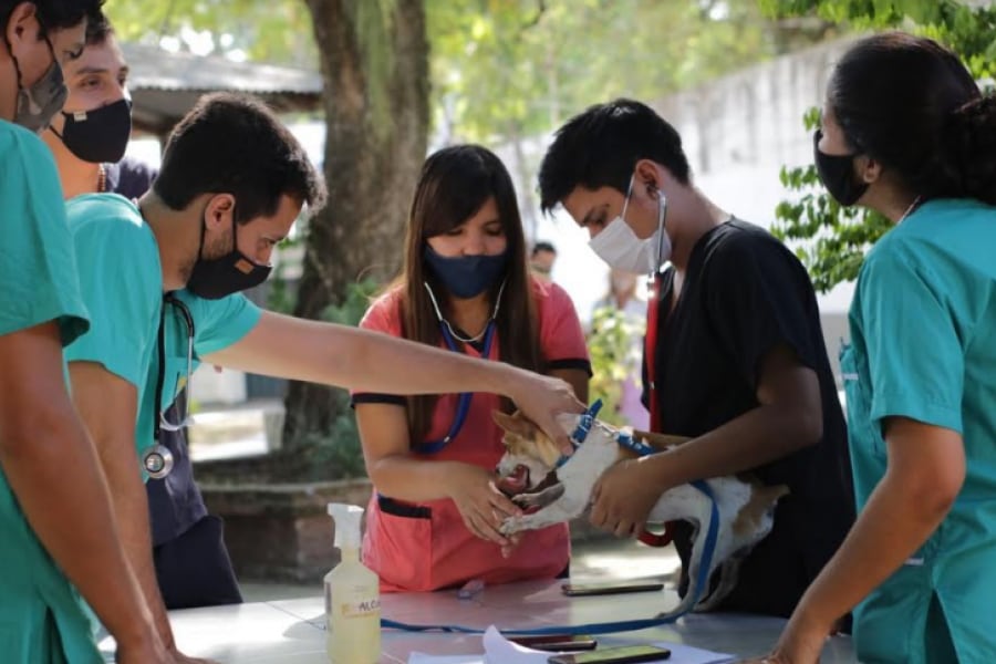 La iniciativa tiende a mejorar los rendimientos académicos en el contexto pandémico.