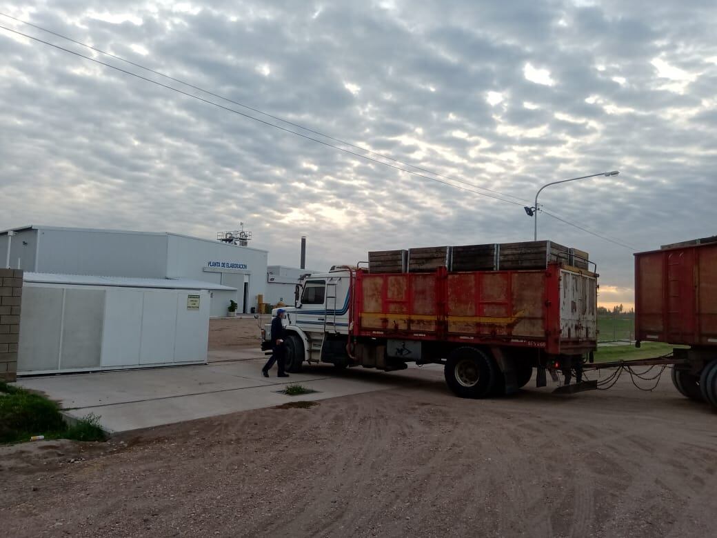 La pulpera estaba procesando tomate pero este es el primer cargamento que recibe de los productores adheridos al programa de fomento. Foto 