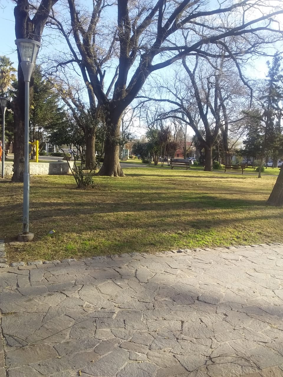 Trabajos de obras Públicas en Tres Arroyos