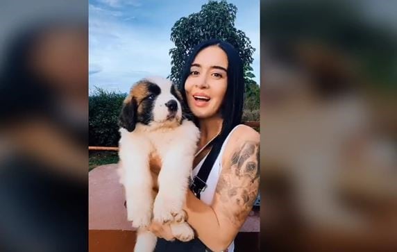 Muchos creyeron que la joven había grabado el crecimiento de su perro San Bernardo.